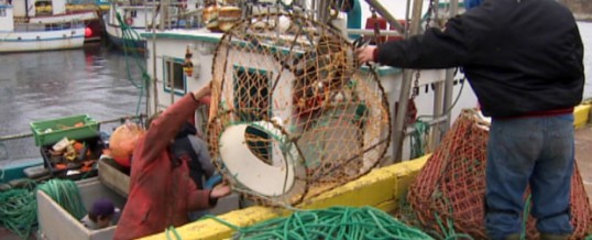 DFO wins court victory to prevent corporate control of inshore fishery