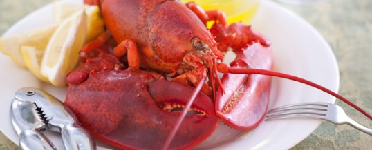 US CETA strategy: Promoting lobster is ‘A, number one’